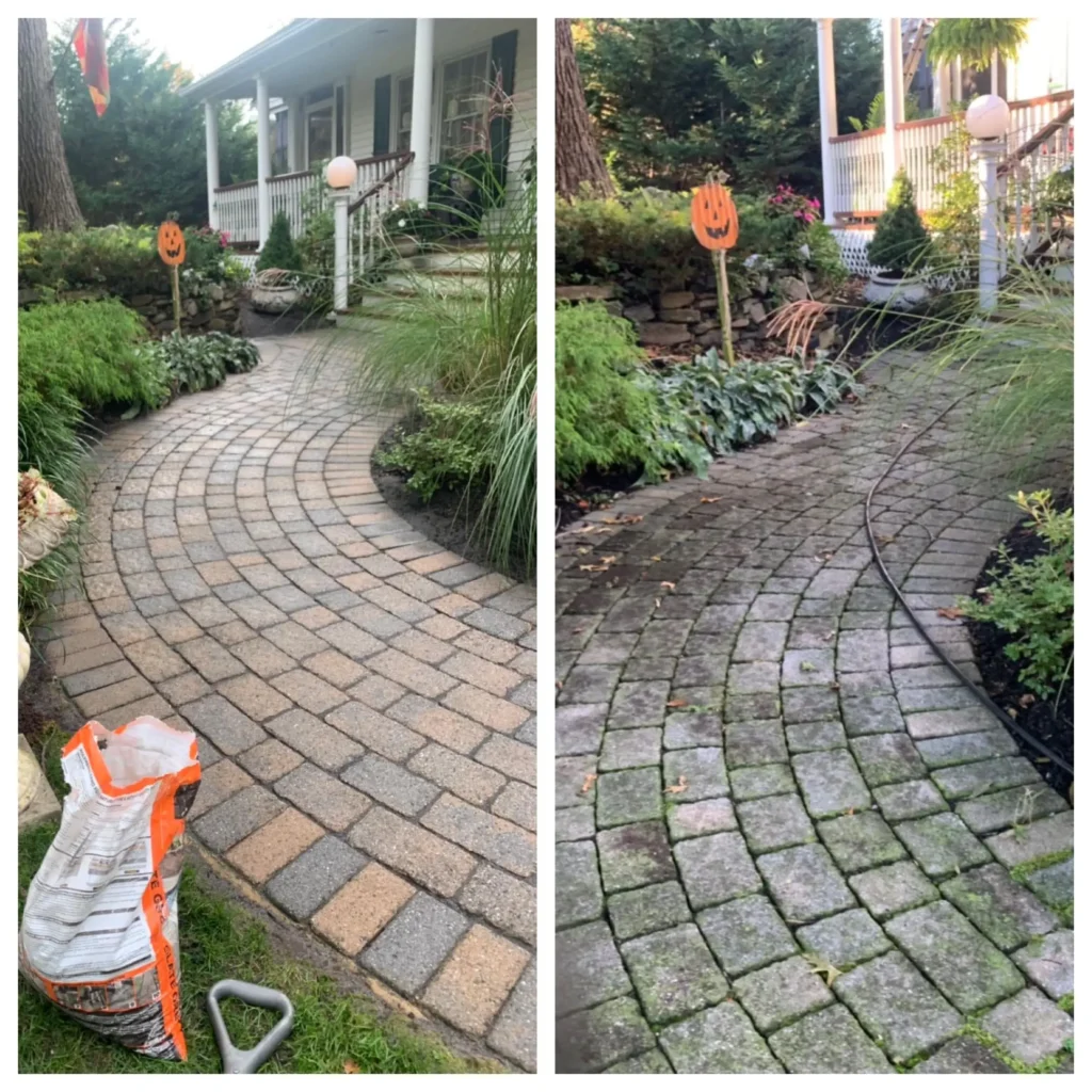 Paving stone sealing work